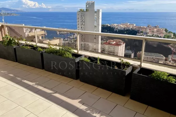 4/5 room apartment with breathtaking panorama