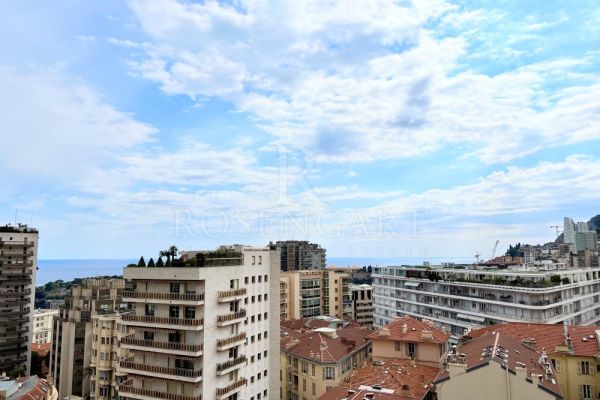 Bright 3 room apartment renovated - Millefiori