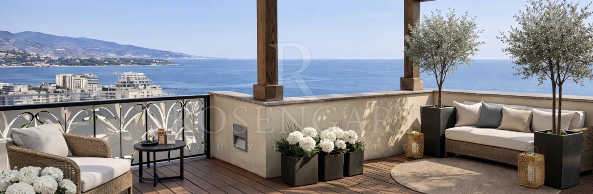 Rare Opportunity Panoramic Penthouse