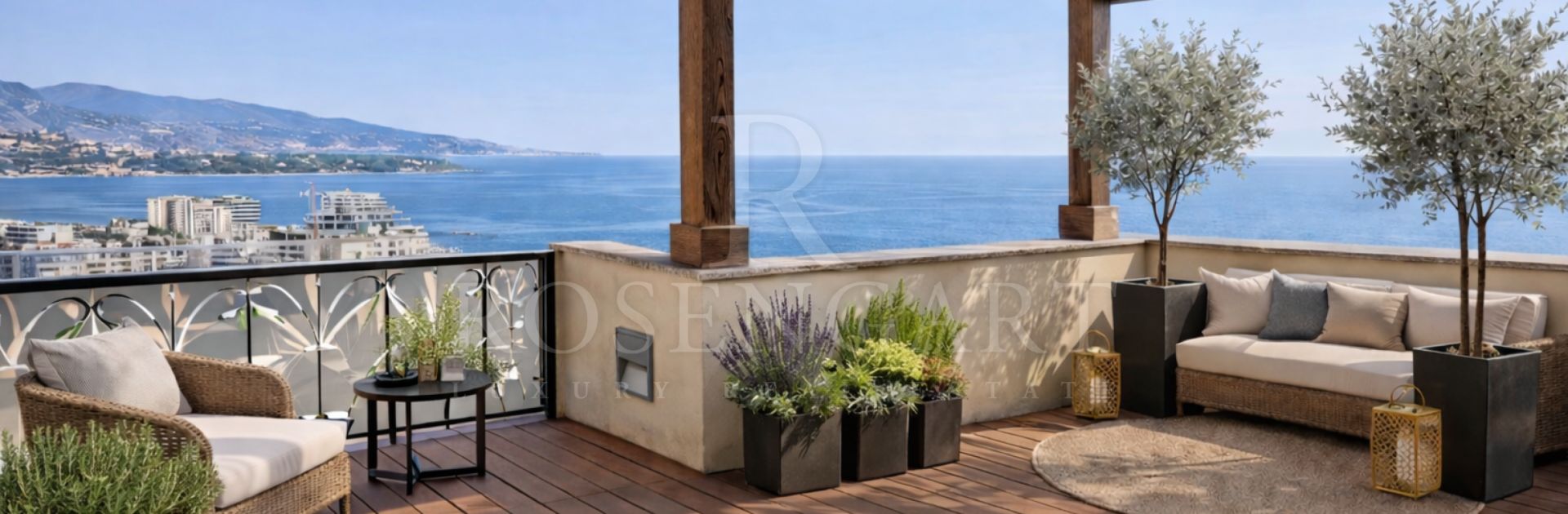 Rare Opportunity Panoramic Penthouse